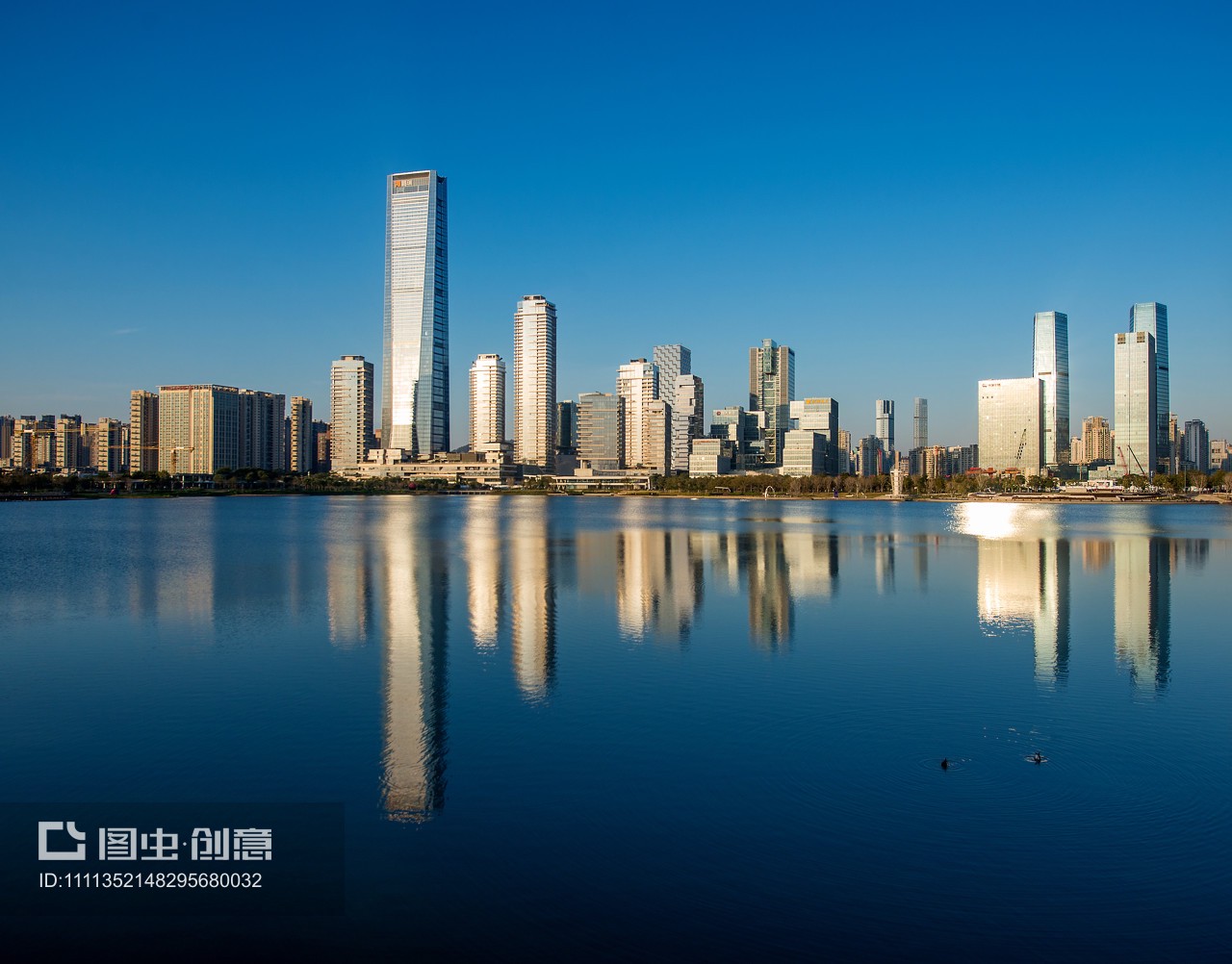 晨光中的深圳灣 后海天際線與城市發展交響曲
